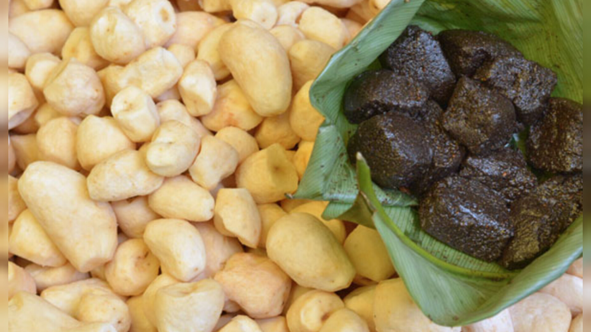 DA KA SOH PHLANG FESTIVAL YN PYNLONG KA SSCMP BAN KYNTIEW A KI DA KA SOH PHLANG FESTIVAL YN PYNLONG KA SSCMP BAN KYNTIEW A KI