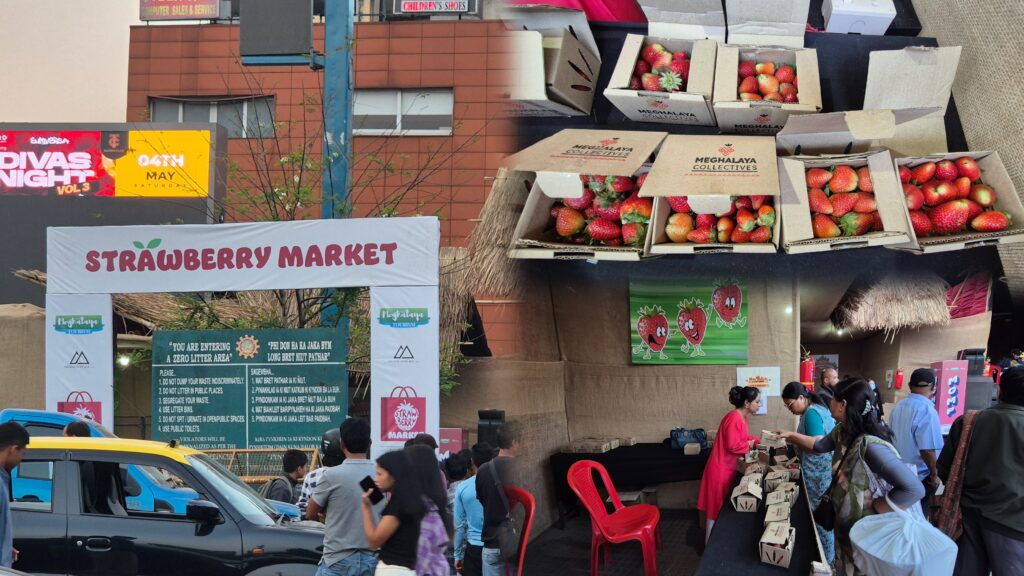 SHILLONG GEARS UP FOR ‘STRAWBERRY MARKET’: A CELEBRATION OF LOCAL FLAVORS AND MUSIC