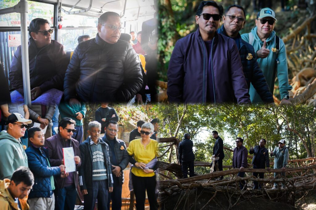 Living Root Bridges Hailed as “Natural Skywalks” as Meghalaya Boosts Tourism