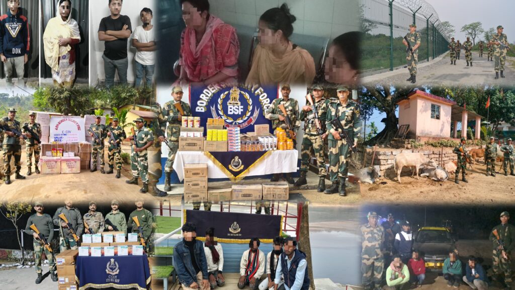 BSF Meghalaya Apprehends 299 Individuals, Rescues 1,612 Cattle, Seizes ₹41.5 Crore of Contraband in 2024