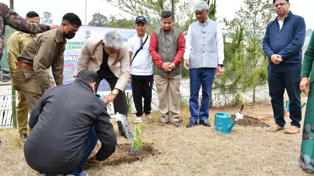 IIM Shillong and Forests Department Plant Seeds for Sustainable Future on International Forest Day