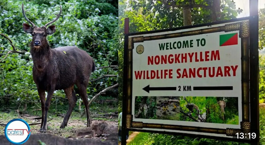 Wat ai jingbit ïa ka EDSM ban shna ha Nongkhyllem Wildlife Santuary, dawa ka HYC