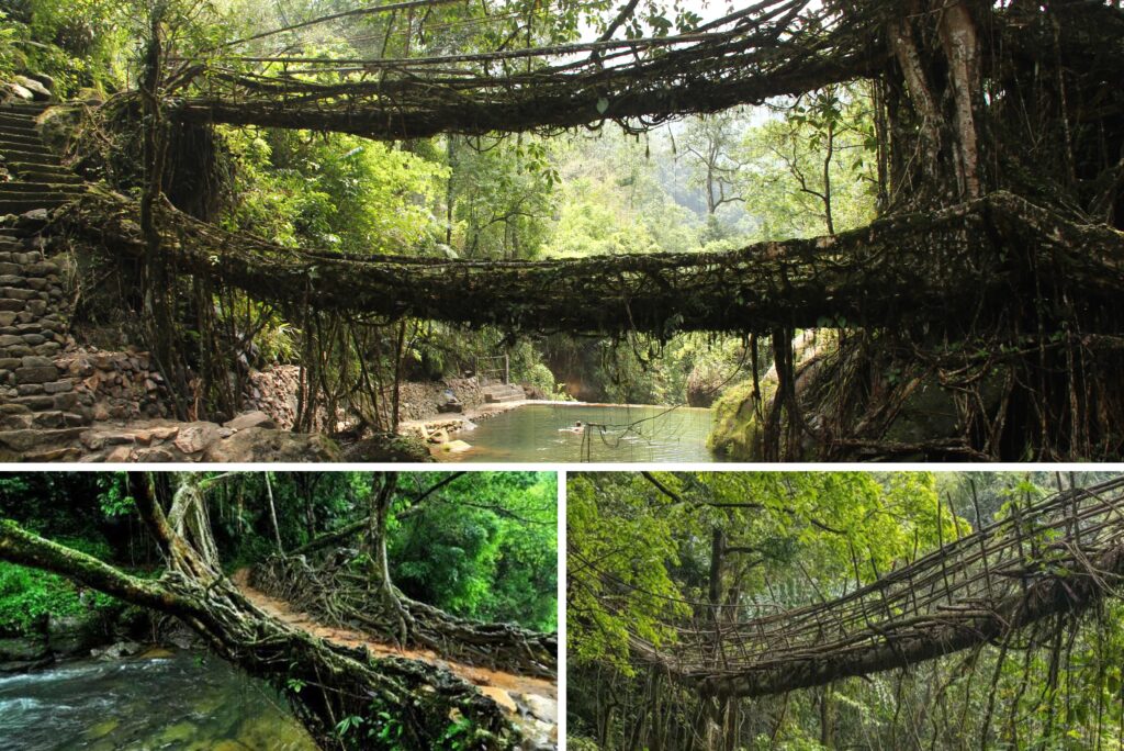 Pawnam ki jingkieng jri, ïaksaid ka Sorkar Meghalaya ban ïoh jingithuh na ka UNESCO World Heritage