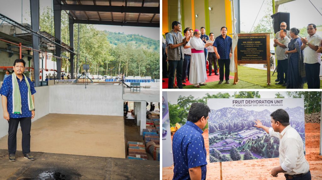 CM Sangma Unveils ₹18.8 Crore Project in East Garo Hills, Lays Foundation for Fruit Dehydration Unit