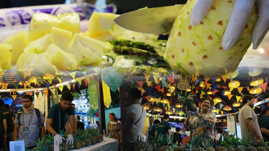Meghalaya’s Pineapple Fest Returns to Delhi: 3rd Edition Promises Sweetness, Culture, and Music