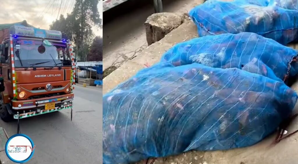 Ki mynder kim salia lada wanrah da ka bih ba ngin bam, bat ka KSU ïa ka trok kit syiar ha Nongmensong