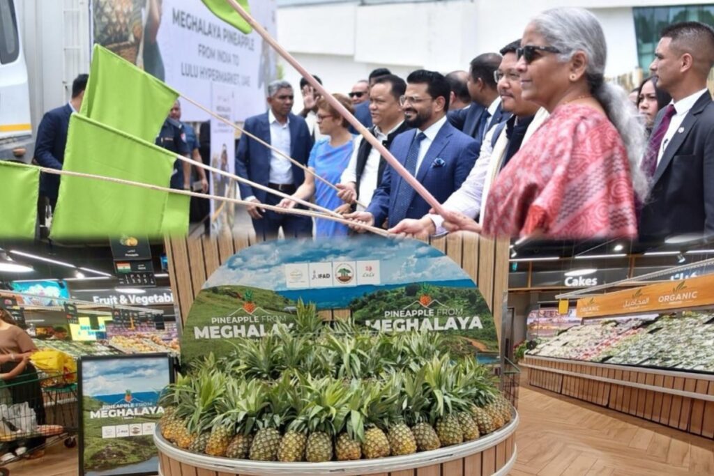 Meghalaya Pineapples Shine in Dubai’s Lulu Hypermarket, Marking International Trade Milestone