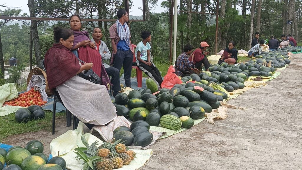 Tuid ki paidbah sha ka ïew die soh Watermelon na Mynriang ha Mawryngkneng