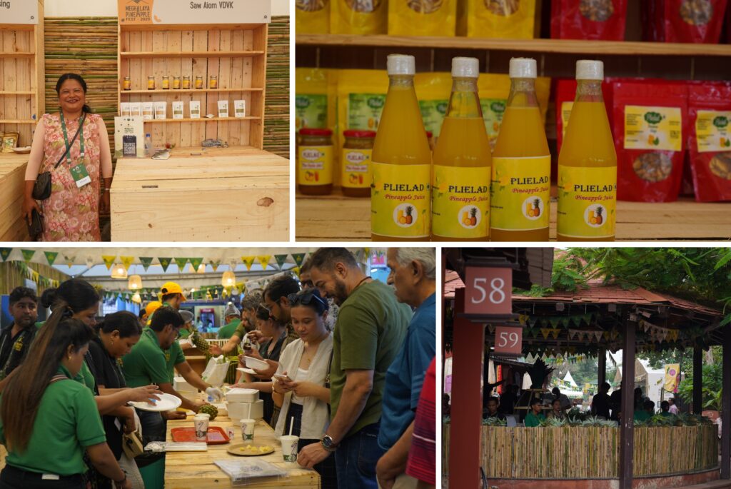 Meghalaya Pineapple Festival 2025 Concludes, Selling Over 15 MT of Pineapples and Forging Key Partnerships