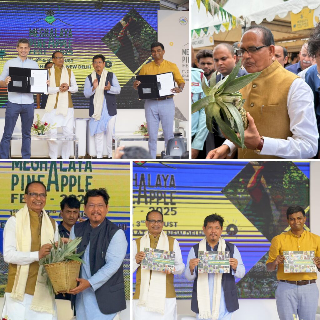 Meghalaya Pineapple Festival 2025 Kicks Off in New Delhi, Boosting Agri-Supply Chain