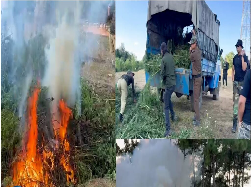 10 ton thang pynjulor ki Pulit ïa ki dieng Ganja ha Sohïong, kam u RS ba shu mih hi kumto