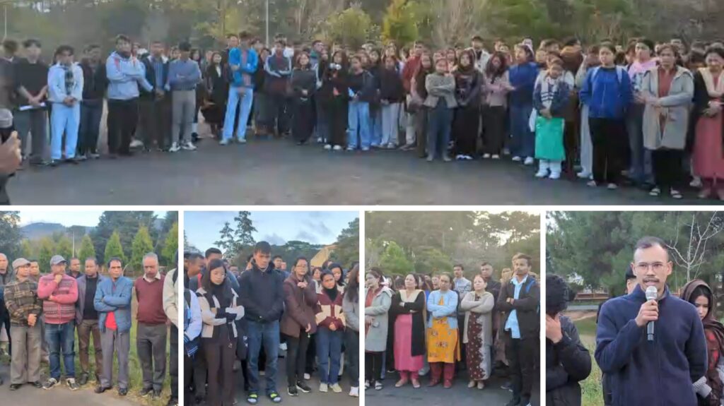 Dang shitom jur ka Stephanie bad Daritngen, pynlong jingduwai ki samla pule ha NEHU