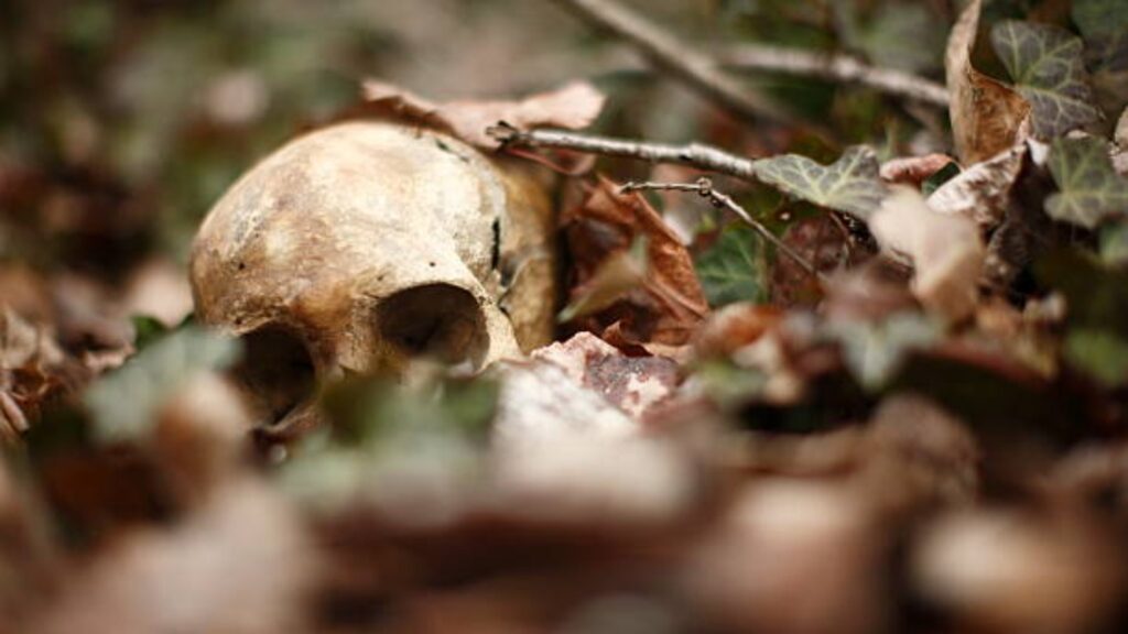 Lap metïap skeleton na khlaw Rashi, Mookyndur