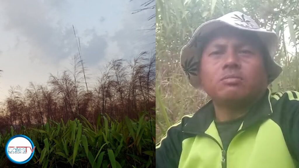 La mih u synsar, kyrpad ki nongrep Mynriang ïa ka Sorkar ban pyrkhat lem ïa ka dor ka mur