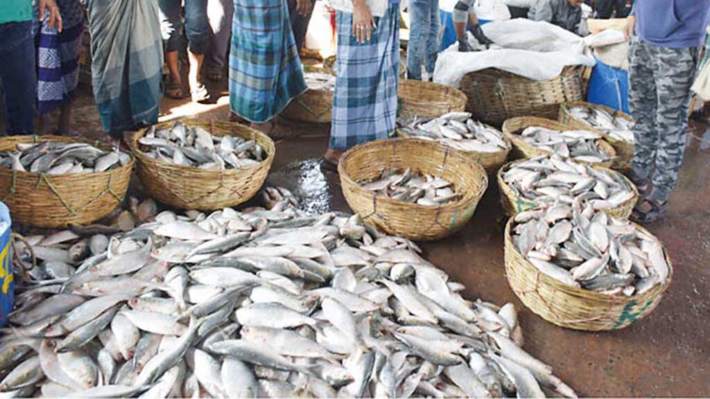 DM Imposes Ban on Illegal Fish Trade from Bangladesh