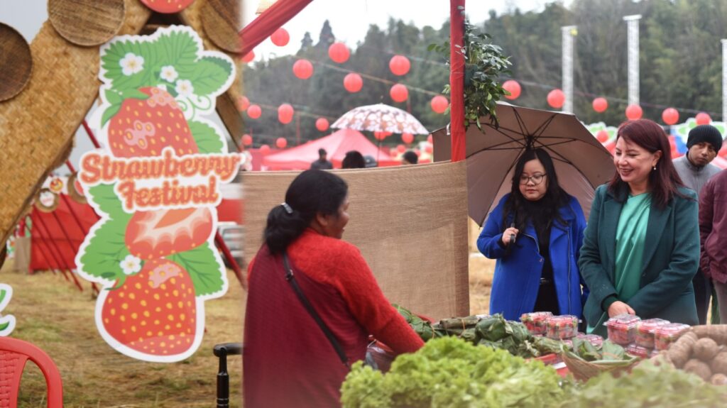 Agro-Tourism Push as Strawberry Festival Begins