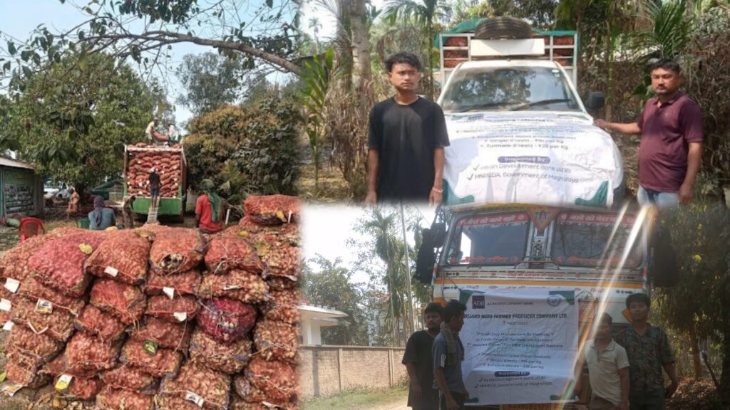 150 MT Ginger & Turmeric Procured Directly; 870 Farmers Across 54 Villages in Garo Hills Benefit