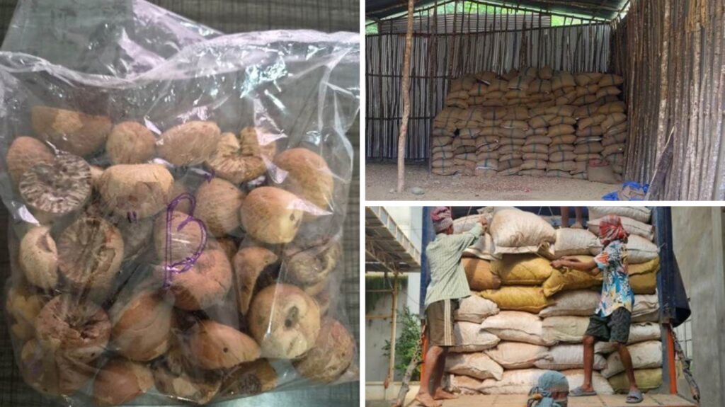 DRI Seizes 60,000 Kg Smuggled Foreign Areca Nuts in Northeast, Five Arrested