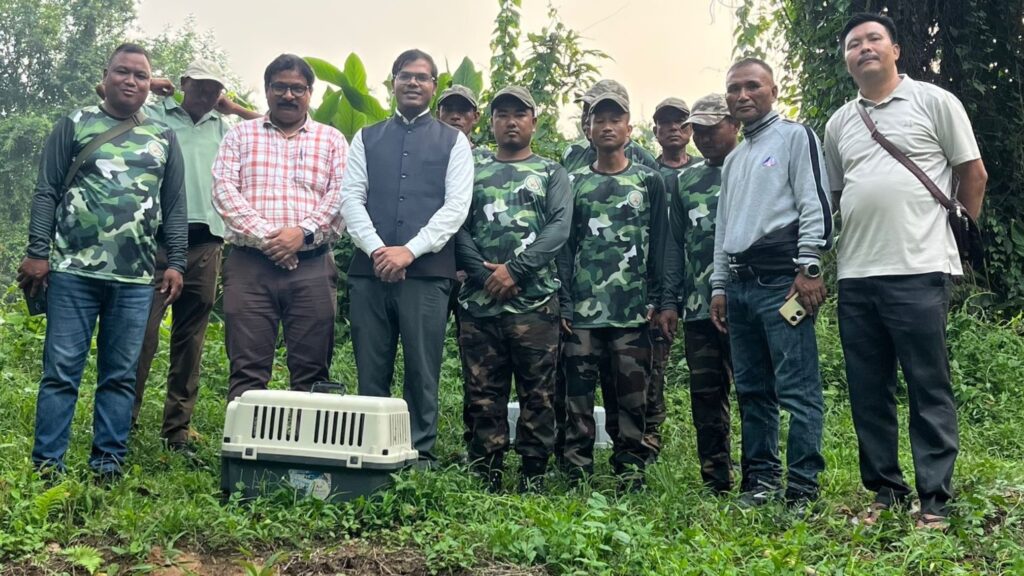 Critically Endangered Chinese Pangolin, Asian Palm Civet Released into Wild After Rehabilitation in Meghalaya