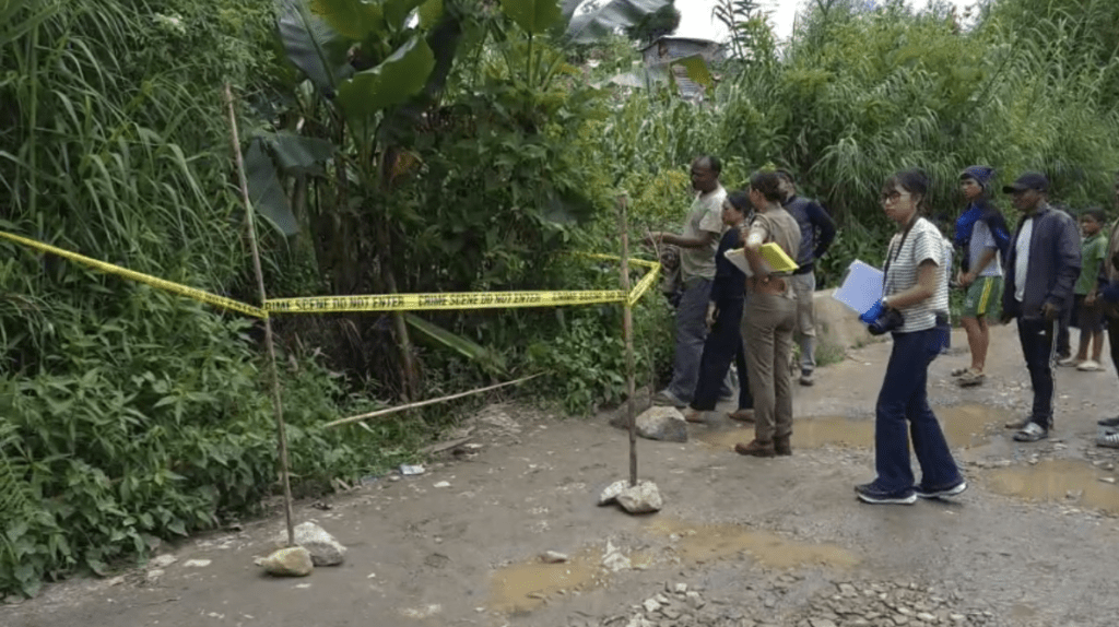 Woman Stabbed to Death in South West Khasi Hills; Elder Brother Accused, Hunt Underway