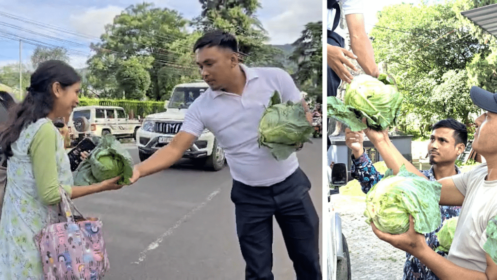 Cabbage prices crash to ₹2 per kg; farmers distribute produce free to the public