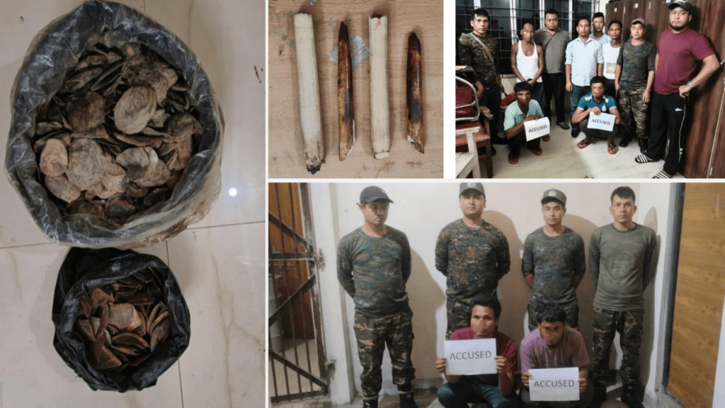 Four Elephant Tusks, Suspected Pangolin Scales Seized in Ri Bhoi; Four Held