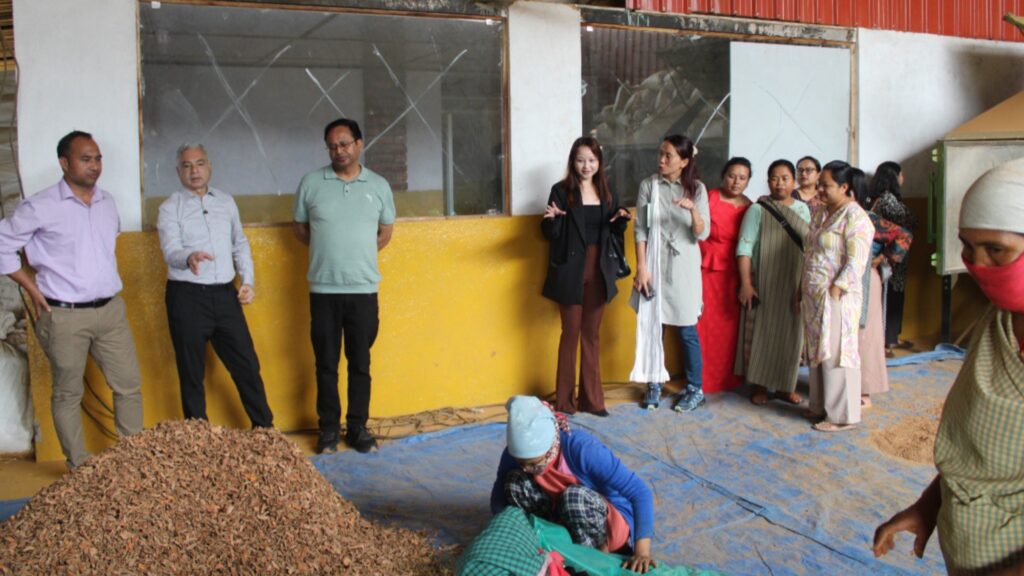 NEC Secretary Reviews Lakadong Turmeric Project in West Jaintia Hills, Stresses Quality, Value Addition and Market Access